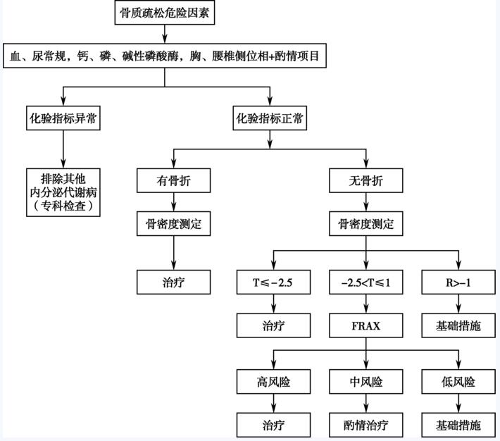 图2 骨质疏松症的诊断流程