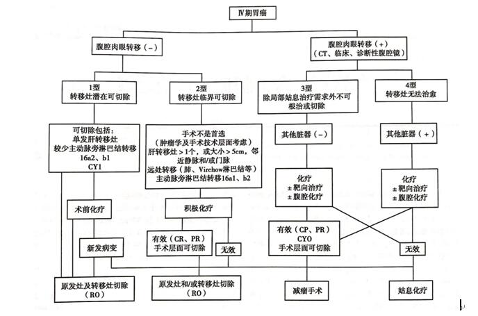 图1 Ⅳ期胃癌的生物学分类（改自Kazuhiro Yoshida等）