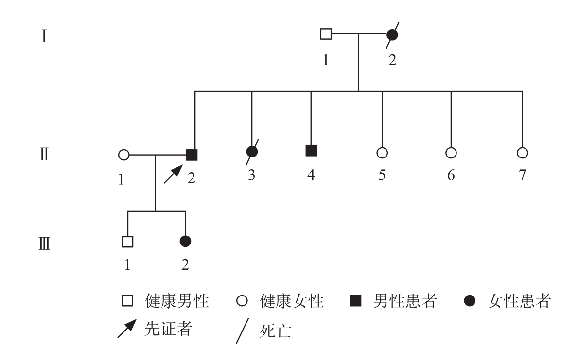 图1 患者家系图谱.jpg