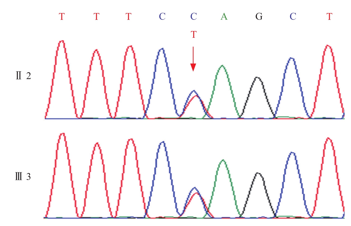 图3 基因测序结果.jpg