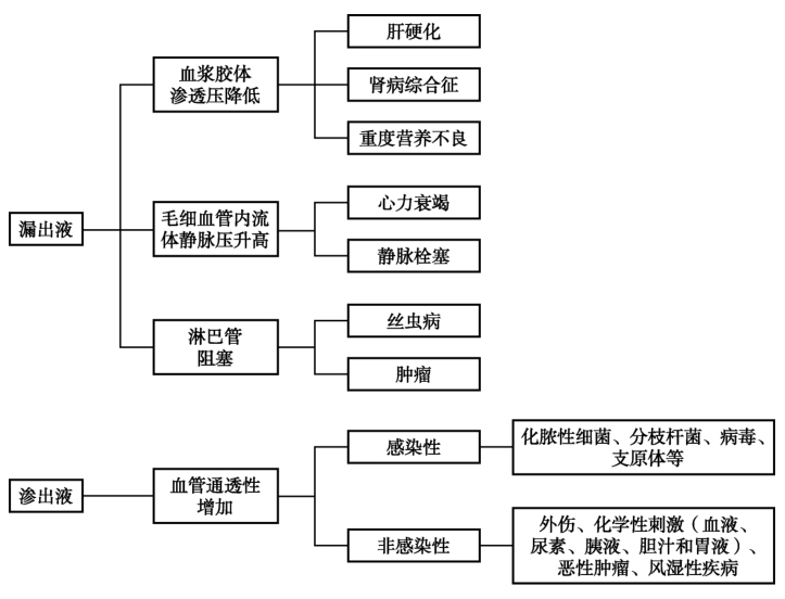 图6 漏出液和渗出液对比.jpg