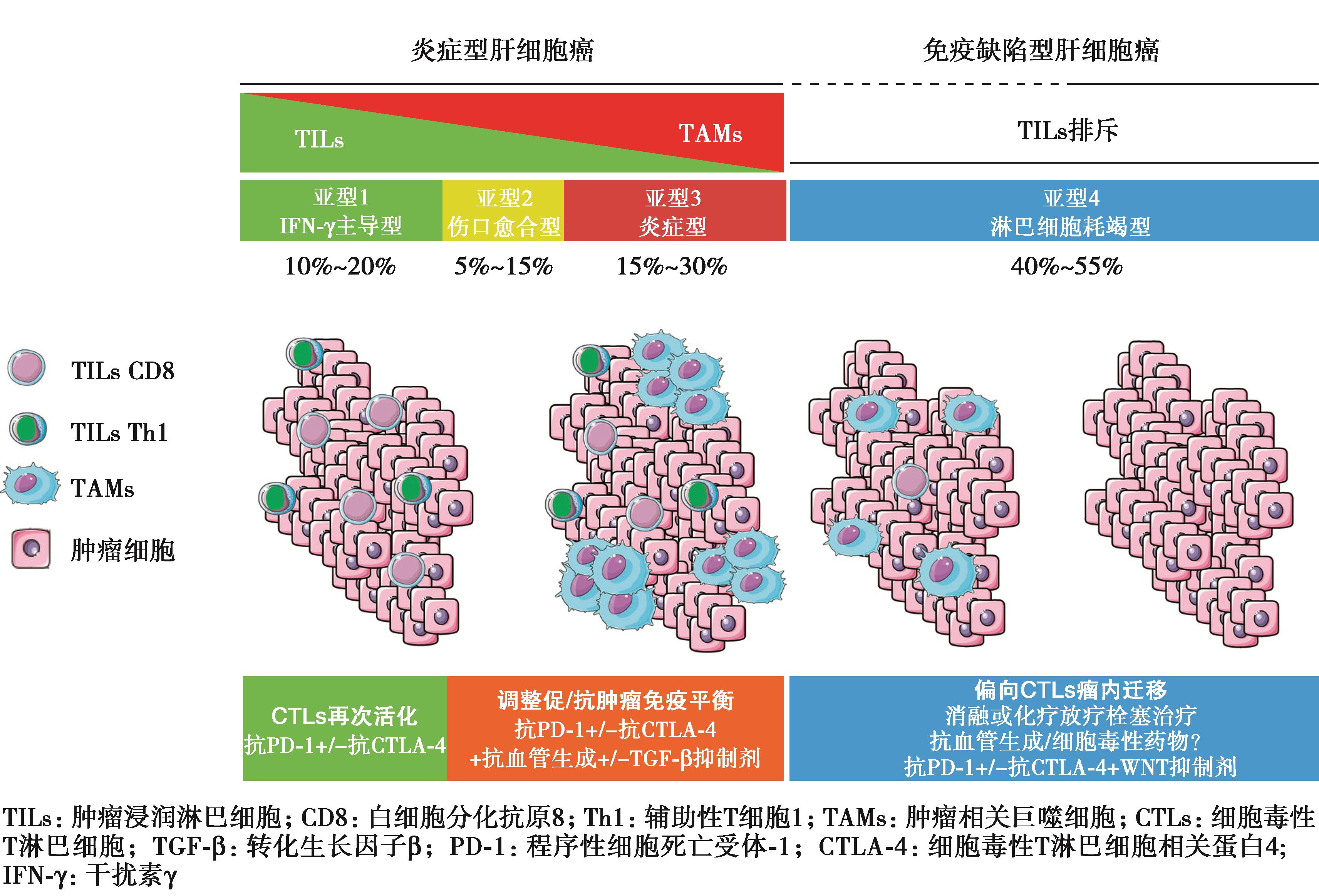 图7 未来HCC联合免疫开发策略——基于免疫学分型.jpg