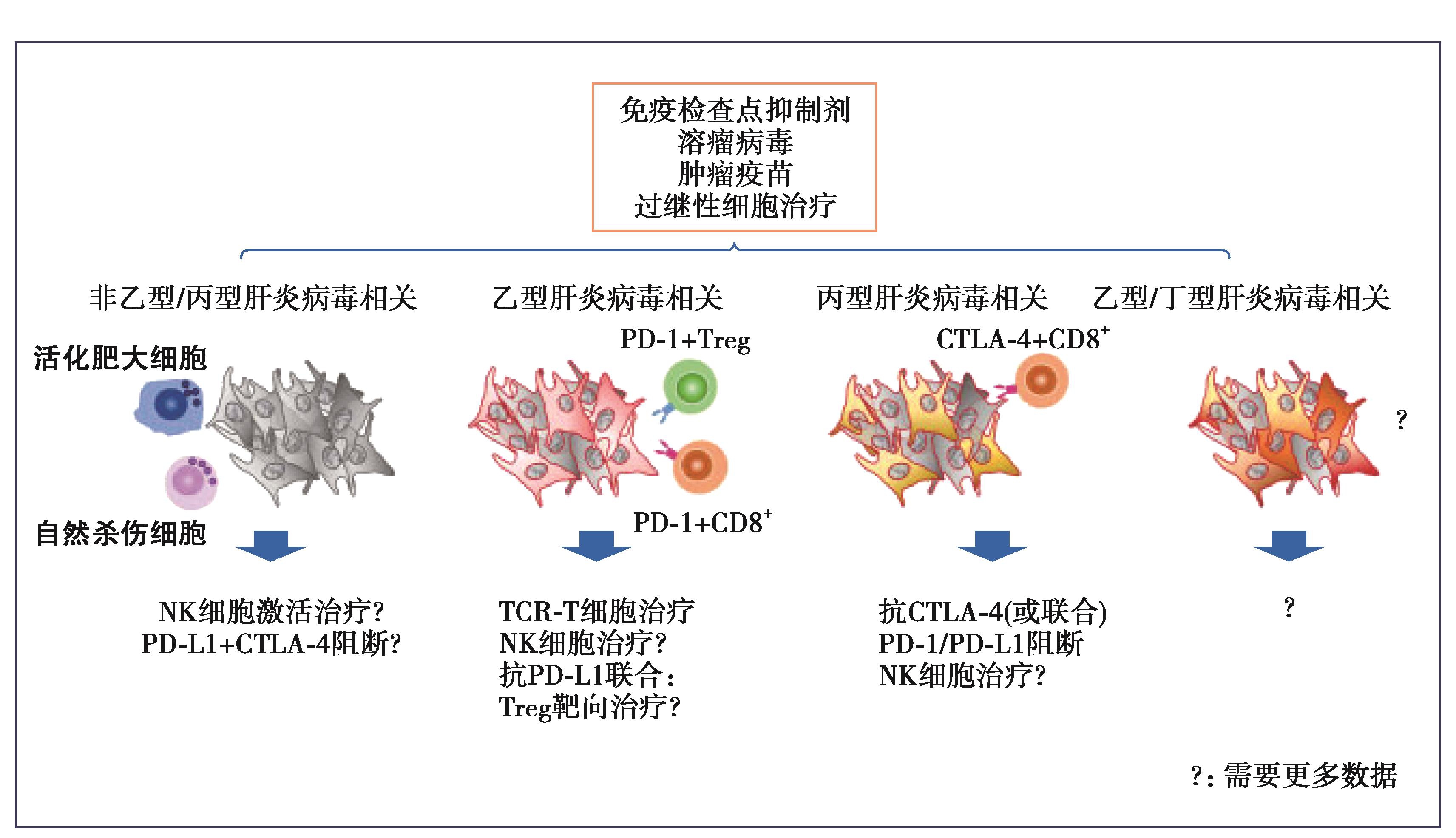 图6 未来HCC免疫治疗开发策略——病因学视角.jpg