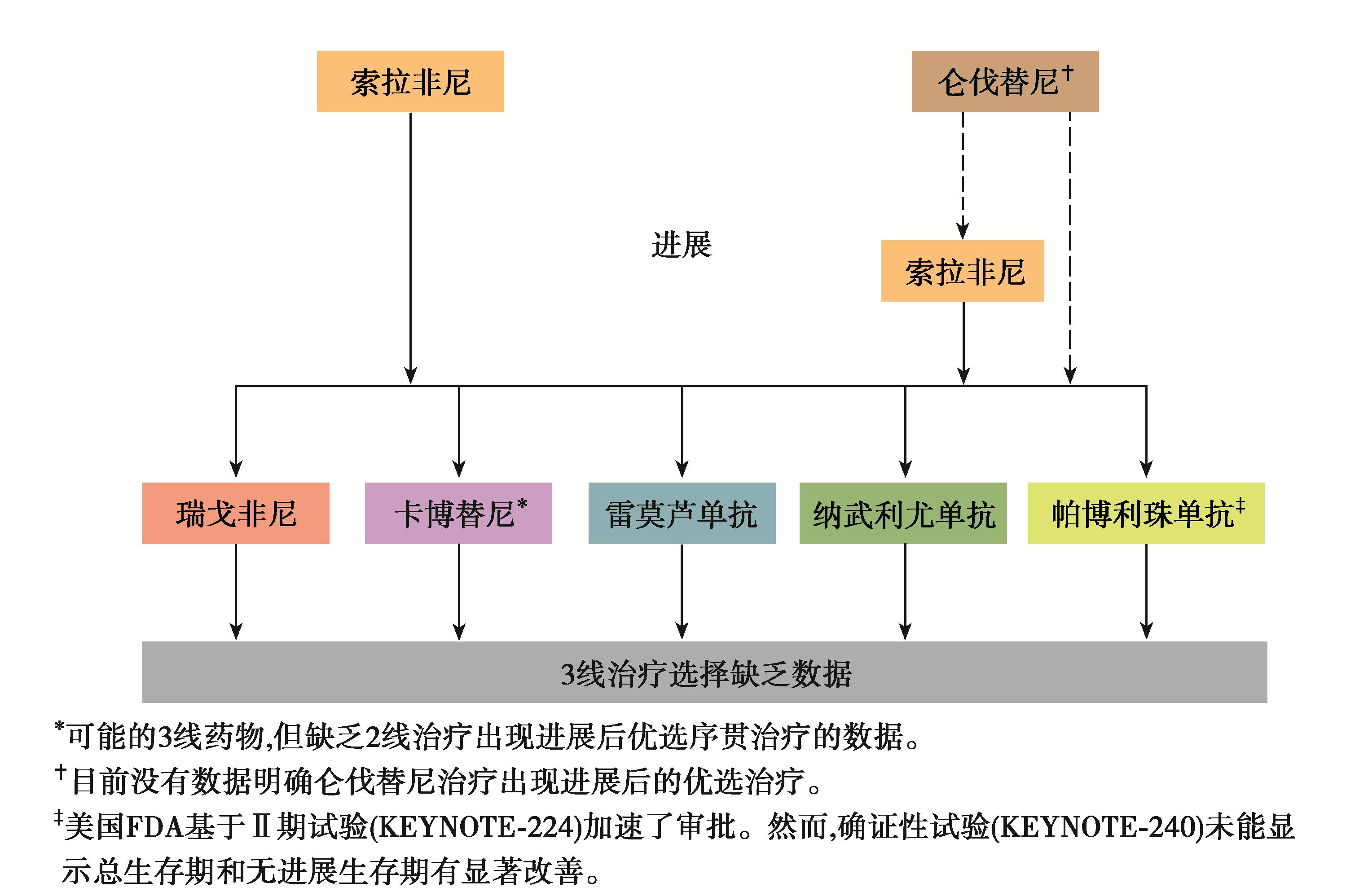 图2 晚期HCC一线分子靶向药物进展选择.jpg